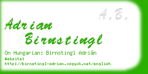 adrian birnstingl business card