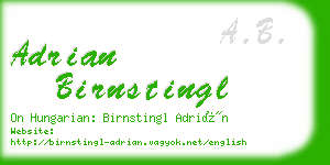 adrian birnstingl business card